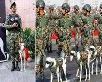 Rampur: दिल्ली गणतंत्र दिवस परेड में शामिल हुई रामपुर हाउंड नस्ल