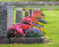 Moradabad: कब्रिस्तान की भूमि पर अवैध कब्जे का आरोप, सीमांकन के बावजूद नहीं हटा कब्जा