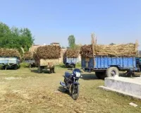 Moradabad: मुरादाबाद, संभल व अमरोहा की मिलों के गन्ना केंद्रों पर मिली घटतौली