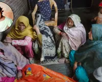 UP: दादी और मां संग खेत पर जा रही मासूम को आवारा कुत्तों ने मार डाला, नोच ले गए एक हाथ