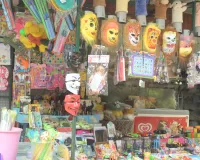 चिड़ियाघर में पॉलीथिन प्रतिबंध की उड़ रहीं धज्जियां: Zoo के अंदर खुलेआम बिक रहे खिलौने, खतरे में पड़ी जानवरों की जान