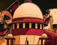 350 की क्षमता का शेल्टर होम, 1.40 लाख कहां रखेंगे? SC ने कहा कि आवारा पशु और स्ट्रीट डॉग सड़क पर न दिखें