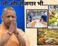 स्वाद भी और रोजगार भी... क्यूजीन क्लस्टर मॉडल से बदलेगी प्रदेश की खाद्य अर्थव्यवस्था