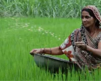 इटावा की मंत्रवती:  स्ट्रॉबेरी, ड्रैगनफ्रूट और रागी से सालाना हो रही 3 लाख की कमाई, गणतंत्र दिवस पर दिल्ली में बनेंगी विशेष अतिथि