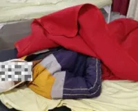 बलरामपुर में डीसीएम और ई-रिक्शा की टक्कर में दो यात्रियों की मौत, तीन अन्य घायल 