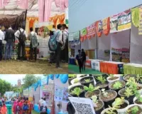 पान तुलसी से लेकर लेमनग्रास तक आमलोग के लिए भी है उपलब्ध, CSIR-CIMAP का दो दिवसीय राष्ट्रीय किसान मेला आज से