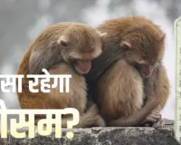 UP Weather Update: उत्तर प्रदेश में कड़ाके की ठंड का कहर... मुजफ्फरनगर रहा सबसे ठंडा, लखनऊ में सीजन का सबसे कम 5.6 डिग्री दर्ज, जानें अन्य का हाल