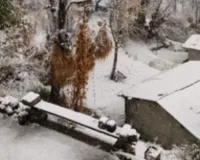 India Weather Forecast : उत्तर भारत में शीतलहर का कहर फिर शुरू... पड़ेगी कड़ाके की ठंड, IMD ने जारी किया अलर्ट