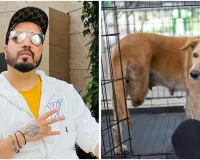 आवारा कुत्तों पर मीका सिंह का दिल छू लेने वाला ऐलान, बेसहारा कुत्तों के लिए शेल्टर और बेहतर व्यवस्था के लिए दान में दी जमीन 