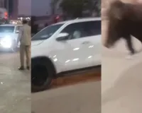 Bareilly: कार से टकराया छुट्टा गोवंश , बाल-बाल बचे डिप्टी सीएम केश प्रसाद मौर्य