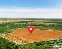 Bareilly : सीलिंग संग निजी भूमि पर बनवा डाला छात्रावास, दिव्यांगजन सशक्तिकरण विभाग पर निर्माण कराने का आरोप