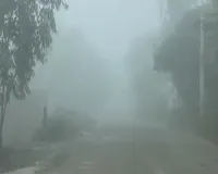 पहाड़ों पर राहत की खिली धूप... रामनगर मैदानी इलाकों में छाया कोहरा, 'दृश्यता कम, रफ्तार धीमी'