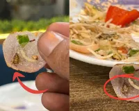 लखनऊ के रेस्टोरेंट में नूडल्स के साथ परोस दिया कॉकरोच:  मैनेजर ने मांगी माफ़ी, बच्चे का जन्मदिन मानाने आया था परिवार