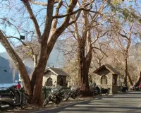 नैनीताल के मैदानी क्षेत्रों में चिलचिलाती धूप,  तापमान बढ़ने से विशेषज्ञों ने जताई चिंता