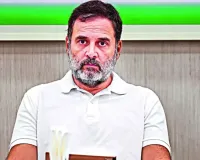 MP-MLA कोर्ट में राहुल गांधी की दोहरी नागरिकता की याचिका खारिज, रायबरेली से लखनऊ ट्रांसफर हुई थी सुनवाई  