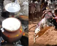 पोंगल :  तमिल परंपरा का जीवंत उत्सव 