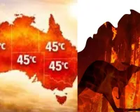 ऑस्ट्रेलिया में गर्मी ने तोड़े रिकॉर्ड:  मेलबर्न पार्क में भीषण गर्मी का प्रकोप,तापमान पहुंचा 50 डिग्री सेल्सियस के करीब 