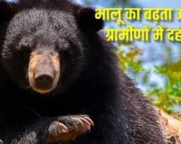 चमोली में बढ़ा भालू का आतंक,  युवक पर हमले के बाद से दहशत का माहौल, एयरलिफ्ट कर घायल को भेजा गया एम्स ऋषिकेश