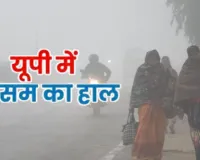  यूपी में कोल्ड डे... ठंड से राहत मिलने के आसार, इन जिलों में पड़ रही कड़ाके की ठंड, जानें आपके जिले का हाल 
