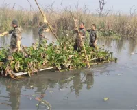 वेटलैंड की हाेगी बायो-डायवर्सिटी मैपिंग:  जीव-जंतुओं का बनेगा कैटलॉग, वन विभाग रखेगा दो विशेषज्ञ