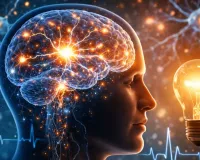 वैज्ञानिक फैक्ट:  मानव मस्तिष्क जला सकता है 20 वॉट का बल्ब