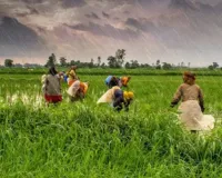  कृषि उत्पादन बढ़ाने को करोड़ों के बजट को हरी झंडी, हरदोई में बनेगा 75 कमरों का बालक छात्रावास, आजमगढ़ परिसर को भी मिला बजट