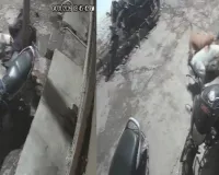 कानपुर : जुही बंबुरहिया में कुत्तों ने महिला को दौड़ाकर गिराया, सीसीटीवी में रिकॉर्ड हुई घटना