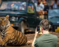 UP: कॉर्बेट पार्क में मोबाइल फोन पर लगेगा प्रतिबंध, सुप्रीम कोर्ट के आदेश के बाद कवायद की तेज