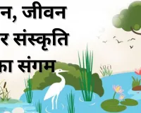  आर्द्रभूमि: विज्ञान, जीवन और संस्कृति का संगम
