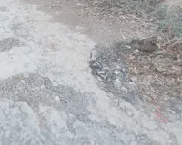 बाराबंकी : सड़क की गुणवत्ता पर सवाल, मरम्मत की मांग