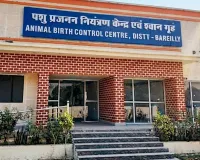 Bareilly : वर्क ऑर्डर के बाद भी नहीं पकड़े कुत्ते, एजेंसी को नोटिस