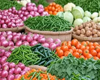 भारत में थोक महंगाई दर जनवरी में 1.8 प्रतिशत रही, कीमतों में सीमित बढ़ोतरी