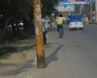 Bareilly: तीन लोगों की मौत के बाद कट रहे पेड़, अब सड़क किनारे खड़े बिजली पोल भी हटेंगे