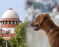 आवारा कुत्तों को लेकर सुप्रीम कोर्ट के निर्देशों का विरोध, पशु प्रेमियों ने महानगर में किया शांतिपूर्ण प्रदर्शन