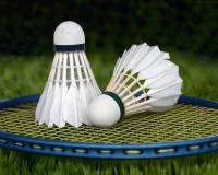 UP State Masters Badminton:  एसके श्रीवास्तव एकल और अनिल-शैलेंद्र युगल सेमीफाइनल में, मिश्रित युगल में बड़ा उलटफेर