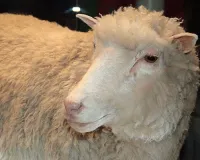 22 फरवरी : क्लोनिंग के जरिए डॉली भेड़ के जन्म की घोषणा