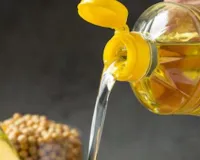 Bareilly: मिलावटी सरसों तेल की मंडी बना बरेली , इंडोनेशिया और मलेशिया से आने वाले तेल में भी खेल