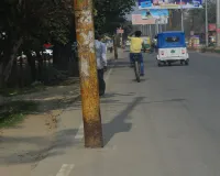 Bareilly: दुर्घटना करा सकते हैं सड़कों पर खड़े बिजली खंभे...यहां दे रहे हादसों को दावत