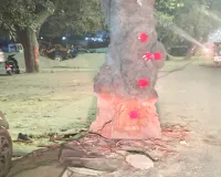 Bareilly: खूनी पेड़ पर चिपकाए रिफ्लेक्टर, कार टकराने का वीडियो वायरल