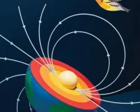  ‘रॉक मैग्नेटिज़्म इन अर्थ साइंसेज़’ कार्यशाला में बोले विशेषज्ञ, पृथ्वी के चुंबकीय गुण से पक्षियों को मिलती है दिशा की जानकारी