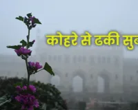  लखनऊ में सुबह कोहरा, दिन में धूप... 3 डिग्री गिरा तापमान, ठंड बढ़ने के आसार