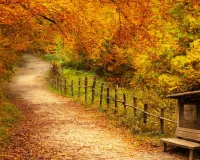 आग राग गाता मदमाता आया फागुन