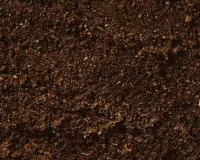 वैज्ञानिक फैक्ट:  जीवन से भरपूर है मिट्टी