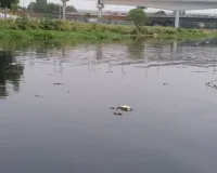  गोमती नदी स्वच्छता पर विशेष कार्यक्रम, शामिल होंगे मुख्यमंत्री योगी