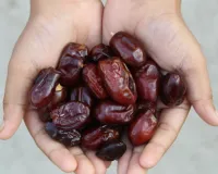 Iftar Meal :  रोजा खोलने के लिए इस सुपरफूड का करते है इस्तेमाल, बाजार में 80 रुपये से लेकर 2200 में उपलब्ध