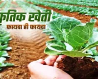 योगी सरकार दे रही नेचुरल फार्मिंग पर विशेष जोर,  यूपी में 1 लाख हेक्टेयर तक होगा जैविक खेती विस्तार