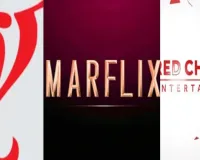 एक साथ आये भारतीय सिनेमा के 3 सबसे ताकतवर प्रोडक्शन, शाहरुख खान की किंग के लिए करेगें इंटरनेशनल डिस्ट्रीब्यूशन 