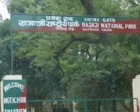 टाइगर रिजर्व के 'कोर जोन' में फंसे हरियाणा के 5 शिव भक्त, पुलिस और वन विभाग ने किया रेस्क्यू 