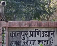  4 फरवरी को 52 साल का हो जाएगा कानपुर प्राणी उद्यान, 52 बच्चों को मिलेगी फ्री एंट्री 