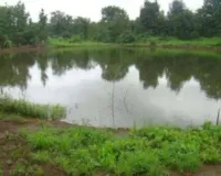 योगी सरकार का बड़ा फैसला : यूपी के हर जिले में विकसित होंगे मॉडल तालाब, ग्रे वाटर और प्लास्टिक अपशिष्ट मुक्त होंगे गाँव 